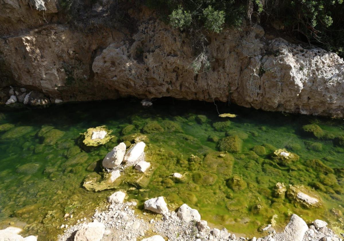 Fotos: Grupos de bañistas sufren nuevas infecciones en aguas del río Buñol