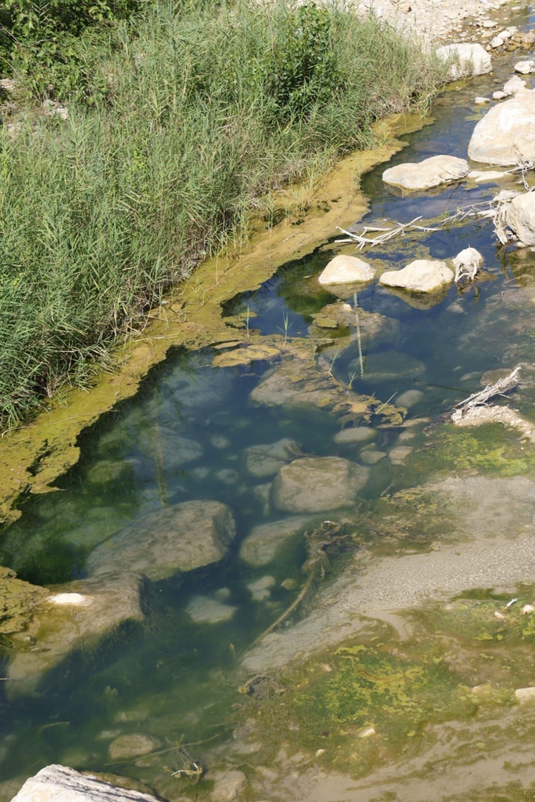 Fotos: Grupos de bañistas sufren nuevas infecciones en aguas del río Buñol