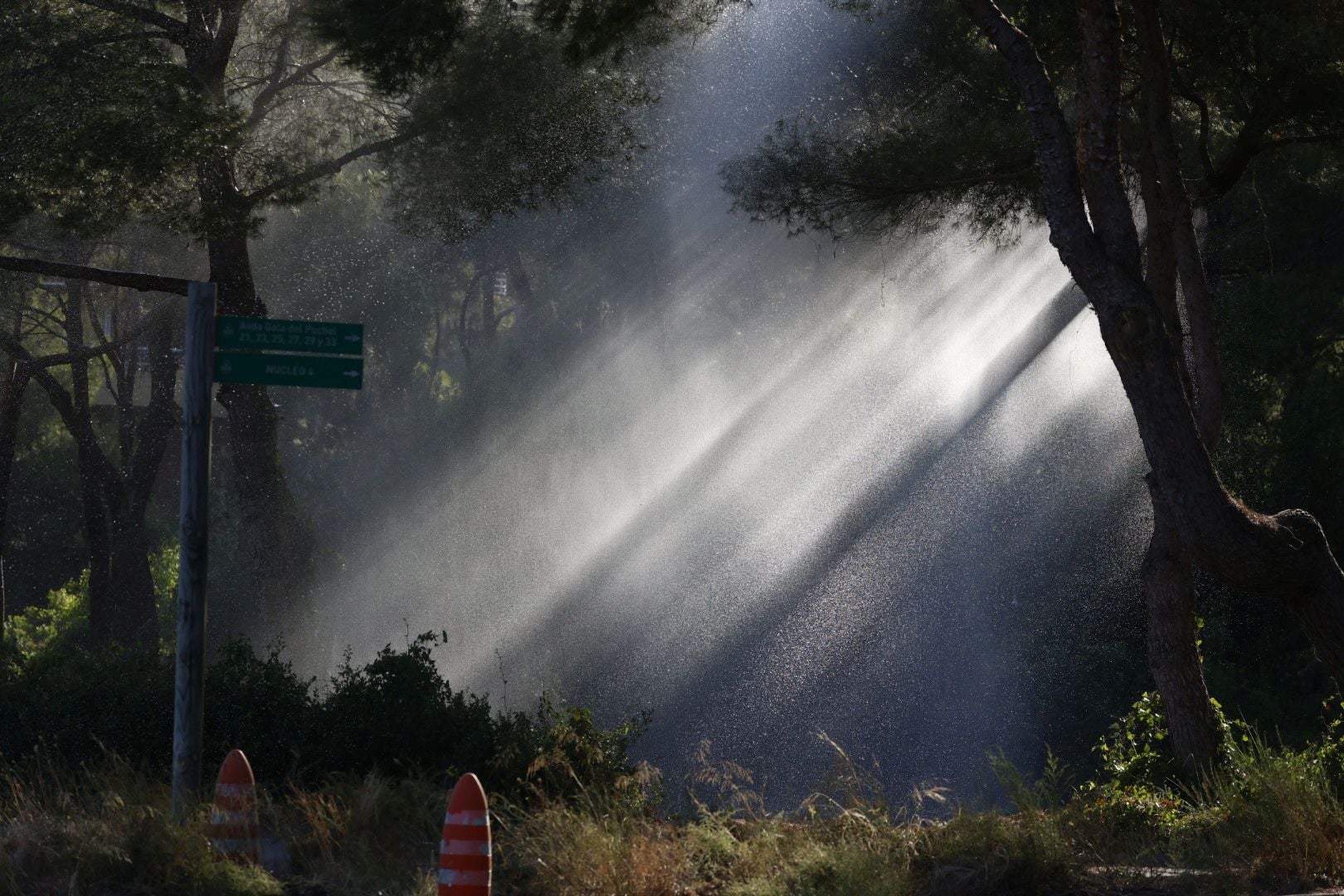 Los cañones del Saler 'riegan' el bosque ante el riesgo de incendio