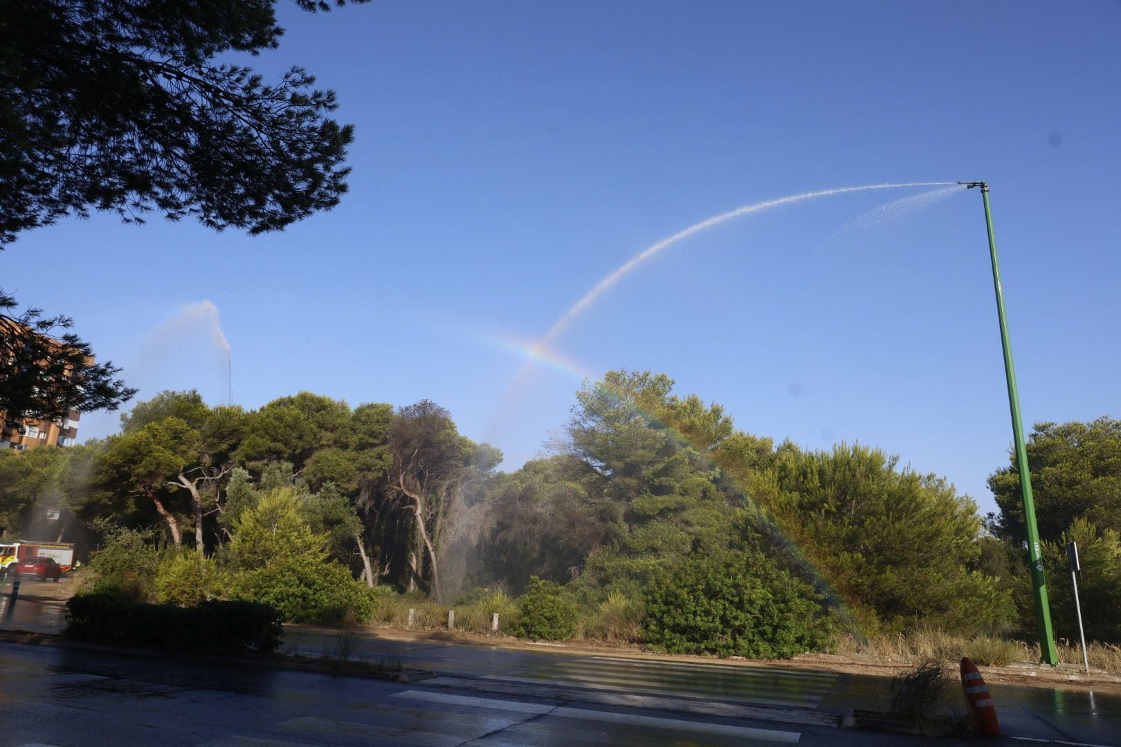 Los cañones del Saler 'riegan' el bosque ante el riesgo de incendio