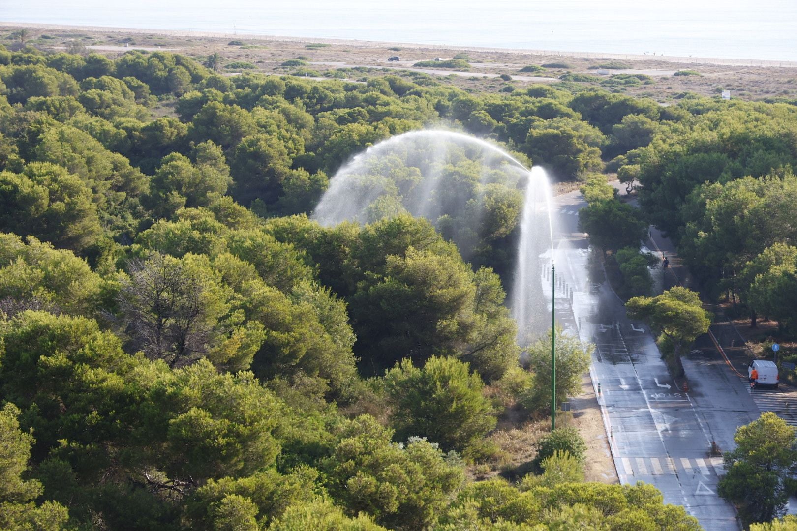 Los cañones del Saler 'riegan' el bosque ante el riesgo de incendio