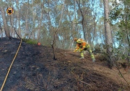 Bomberos del Consorcio en un incendio forestal.