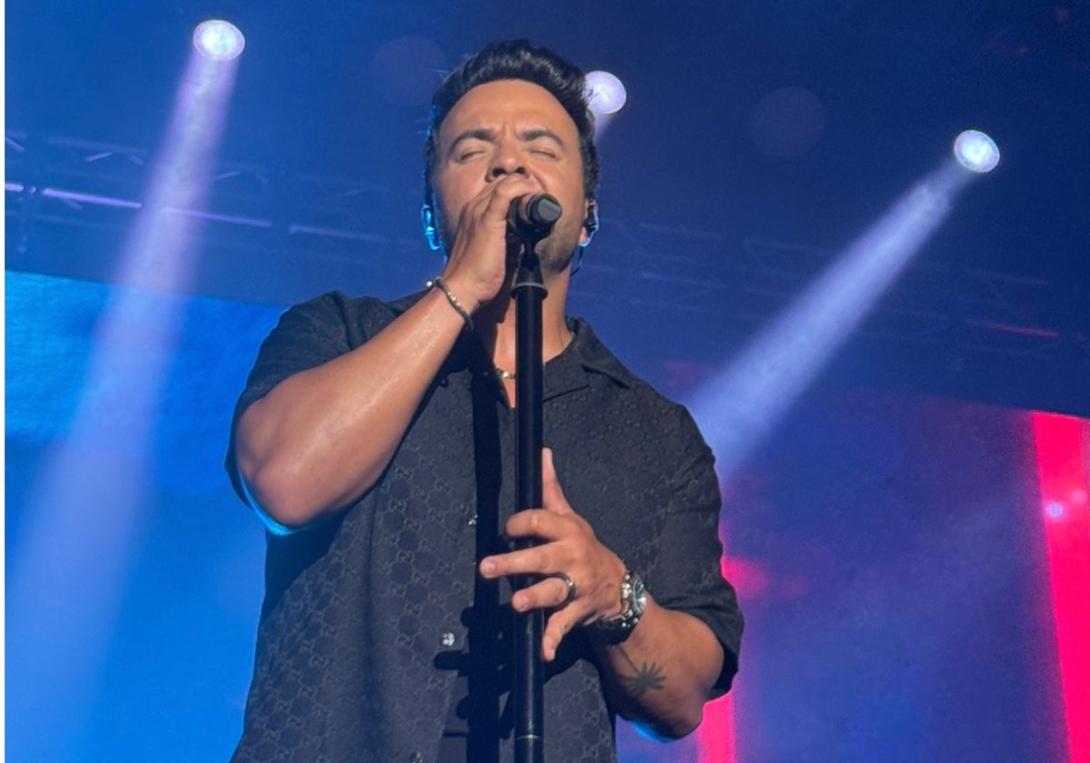 Luis Fonsi en su concierto en Valencia