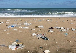 Suciedad en una playa.