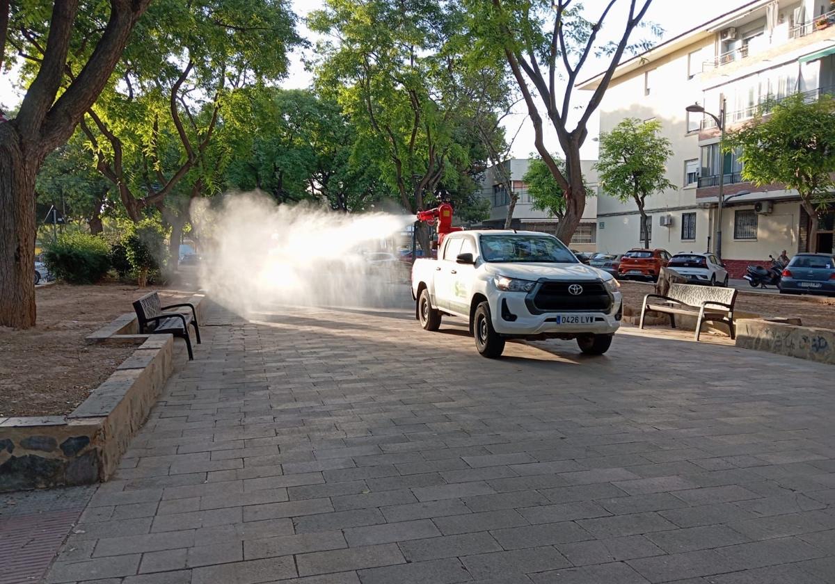 Fumigación en un paseo de Alfafar.
