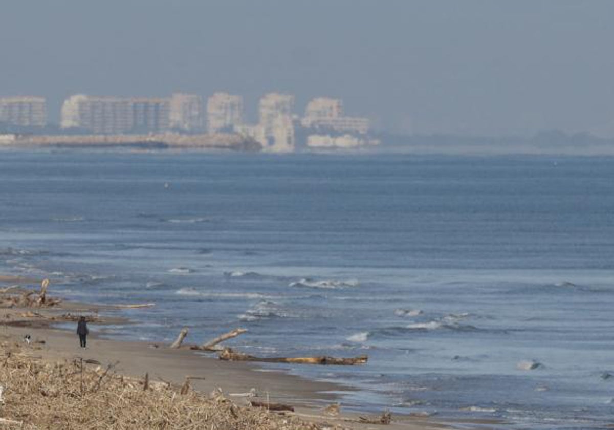 Zona de playa en el término municipal de Sueca.