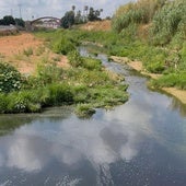 Tramo del barranco donde se denuncian los vertidos.