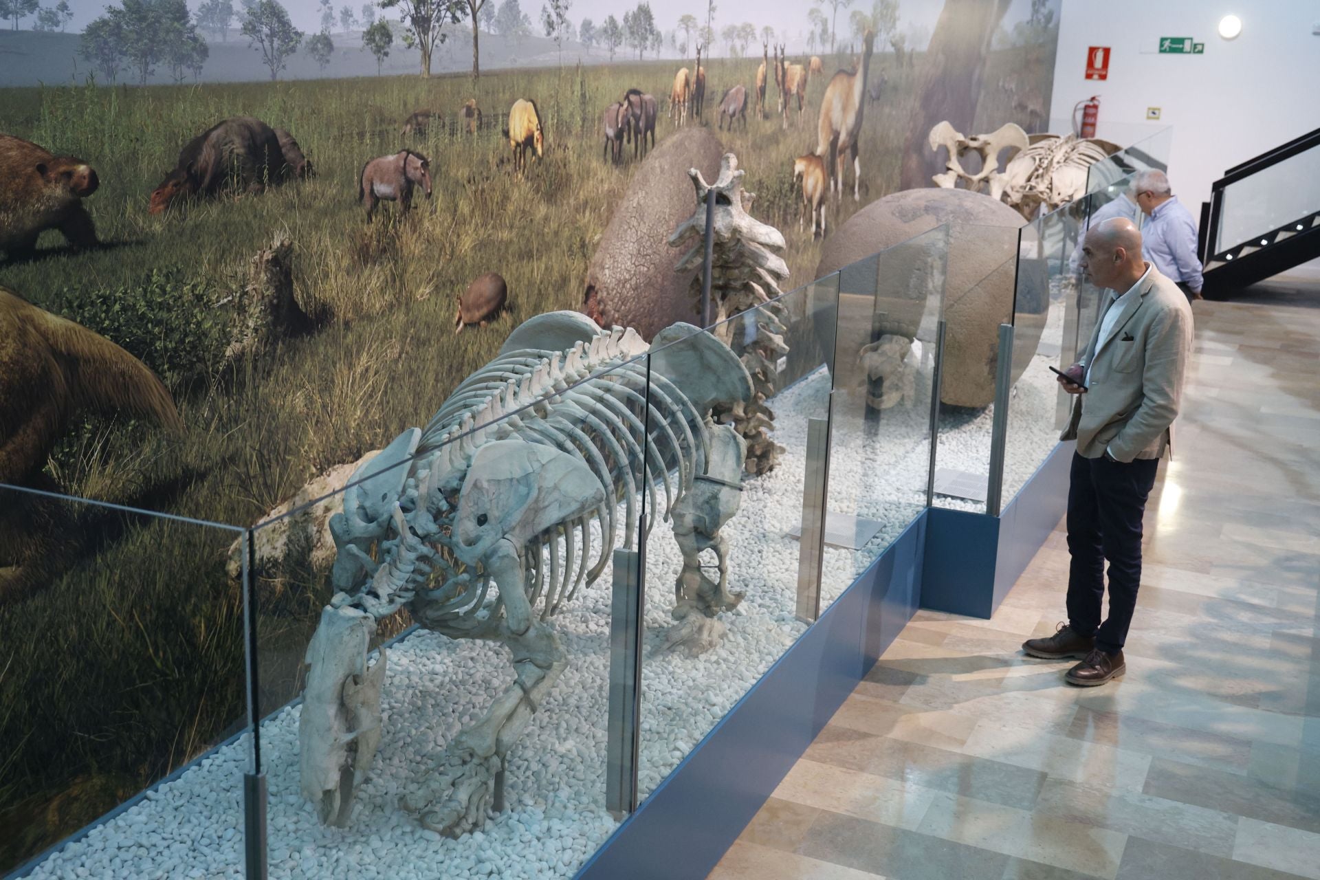 Así es el nuevo museo de Ciencias Naturales de Valencia