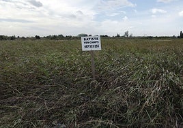 Una parcela de huerta en venta.