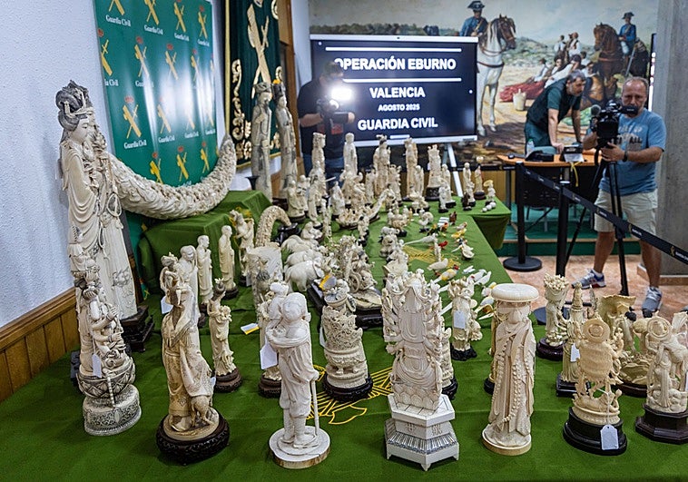 Cae una red de tráfico de piezas de marfil en Valencia que asesinó 127 elefantes