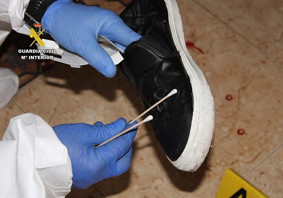 El resultado de las pruebas confirma la principal hipótesis de la Guardia Civil sobre el homicidio de una mujer en Guardamar cometido en 2022