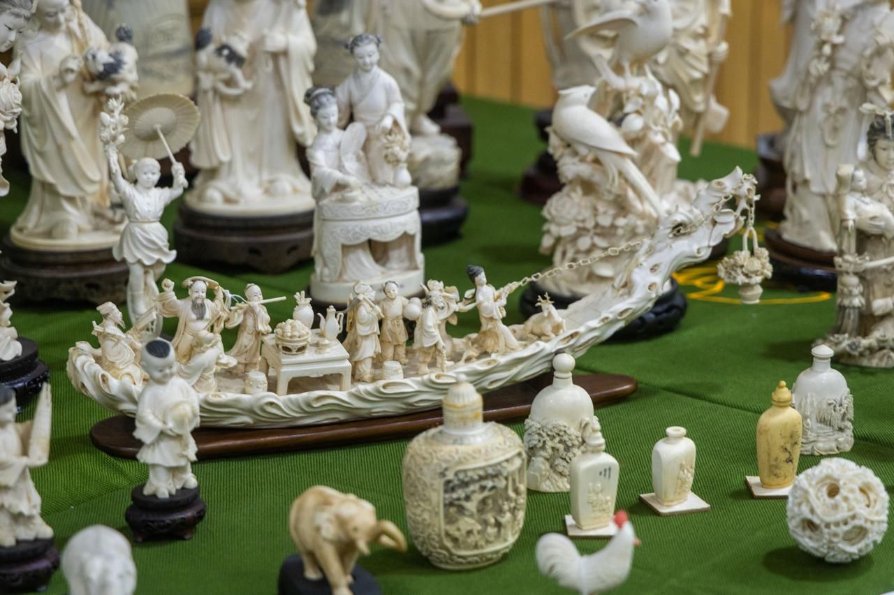 Golpe al tráfico ilegal de piezas de marfil tras la incautación de 127 piezas en un local de Valencia