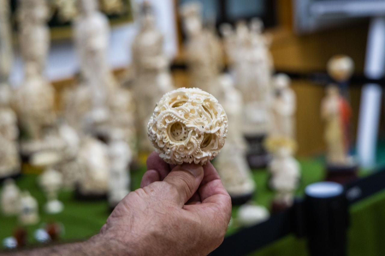 Golpe al tráfico ilegal de piezas de marfil tras la incautación de 127 piezas en un local de Valencia