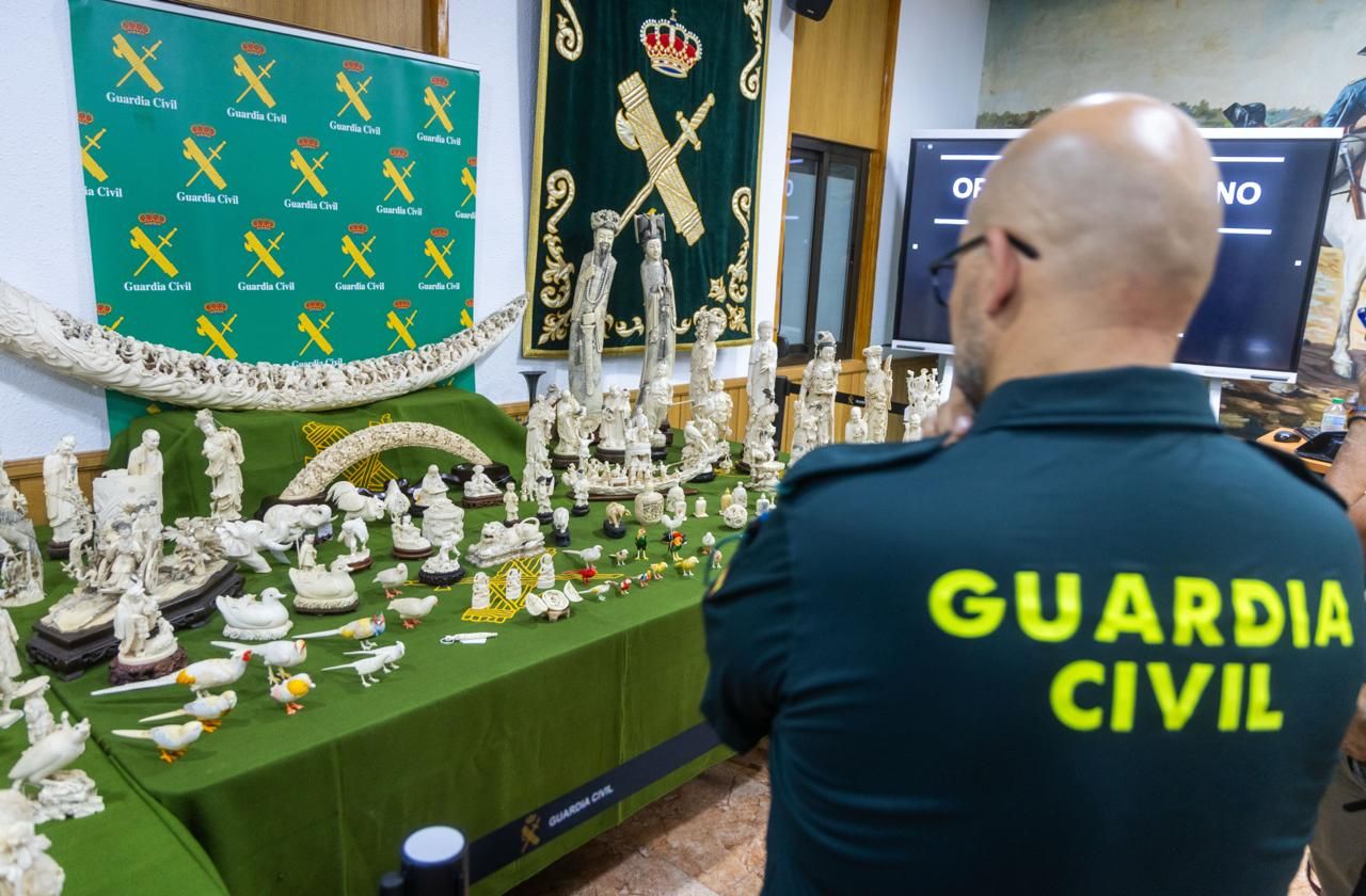 Golpe al tráfico ilegal de piezas de marfil tras la incautación de 127 piezas en un local de Valencia