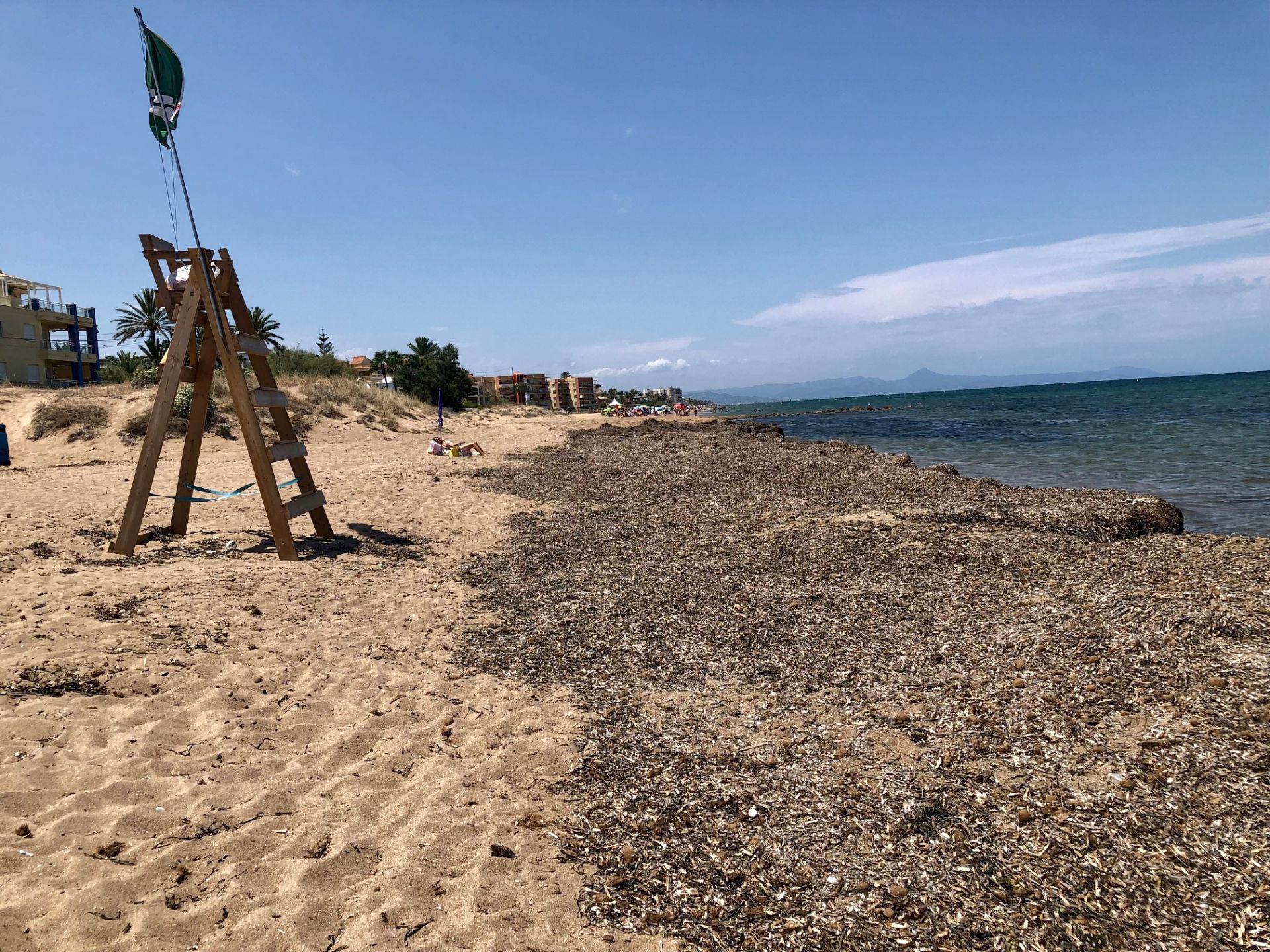 Tramo de Les Marines que suscita las quejas por la presencia de posidonia.