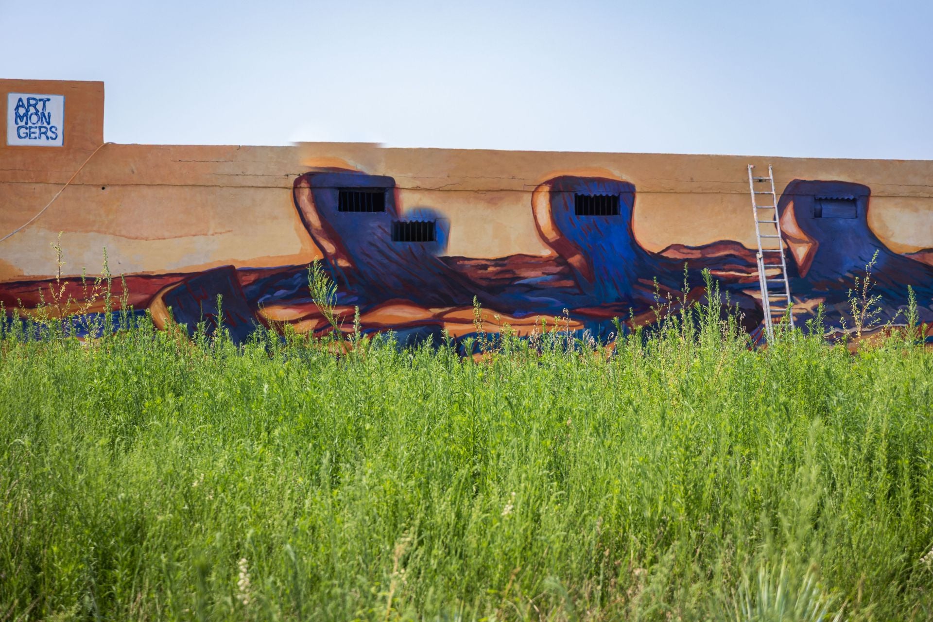 Fotos: Los murales son la nueva decoración de la Huerta de Valencia