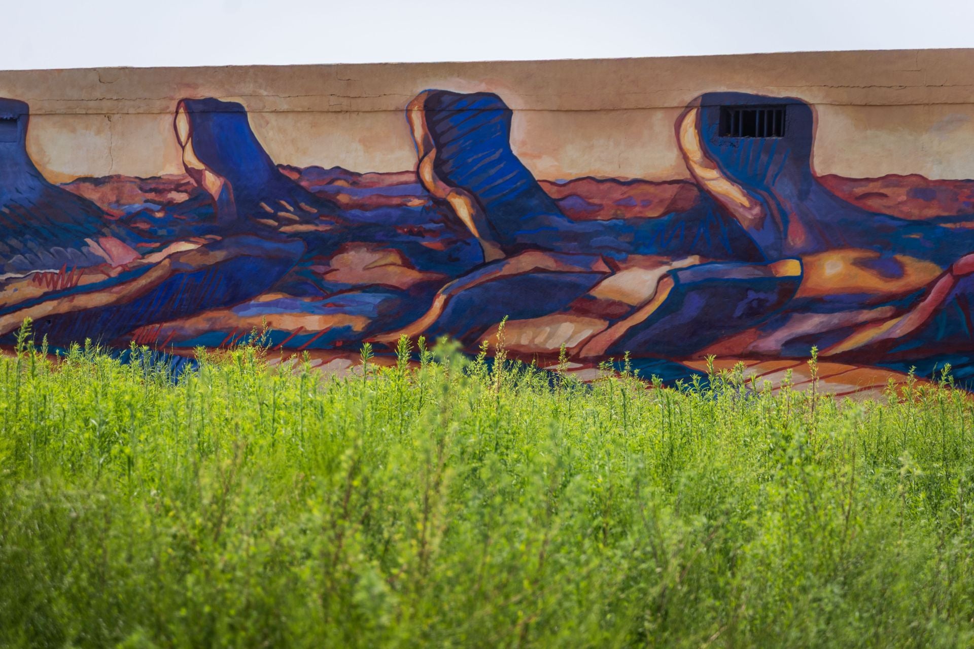 Fotos: Los murales son la nueva decoración de la Huerta de Valencia