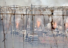 Mascléta atronadora en Aldaia.