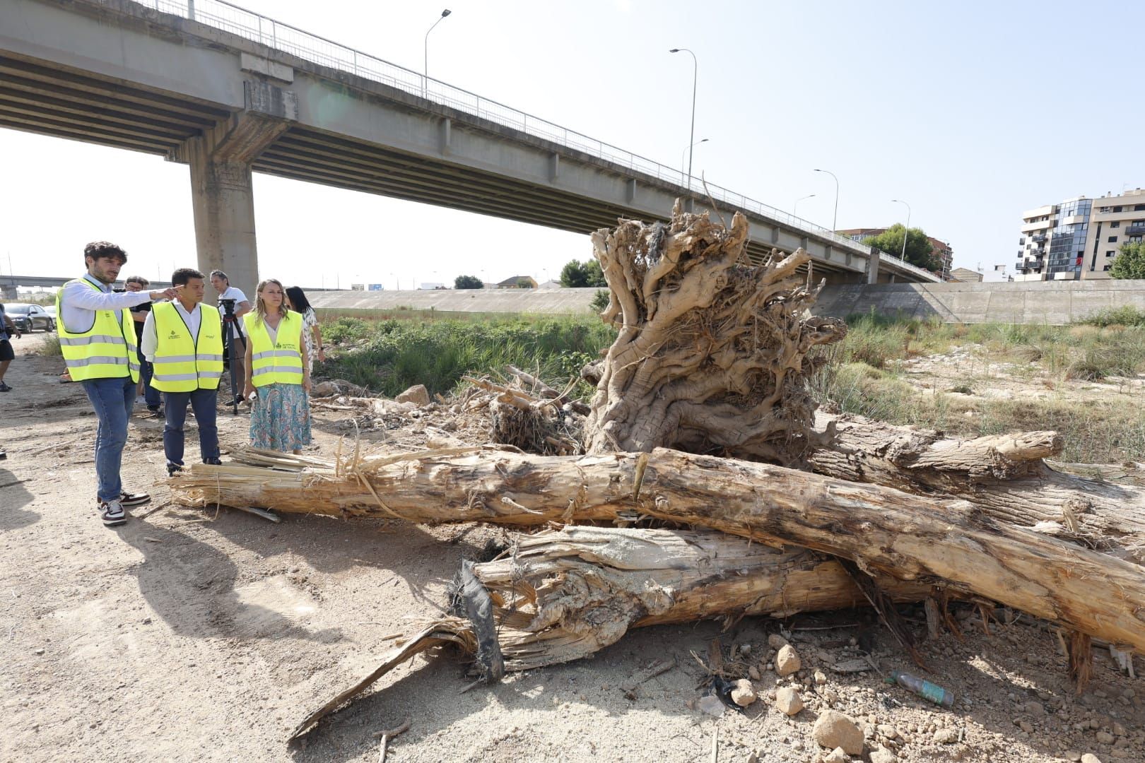 El Ayuntamiento de Valencia limpia el cauce del río ante el retraso de la CHJ