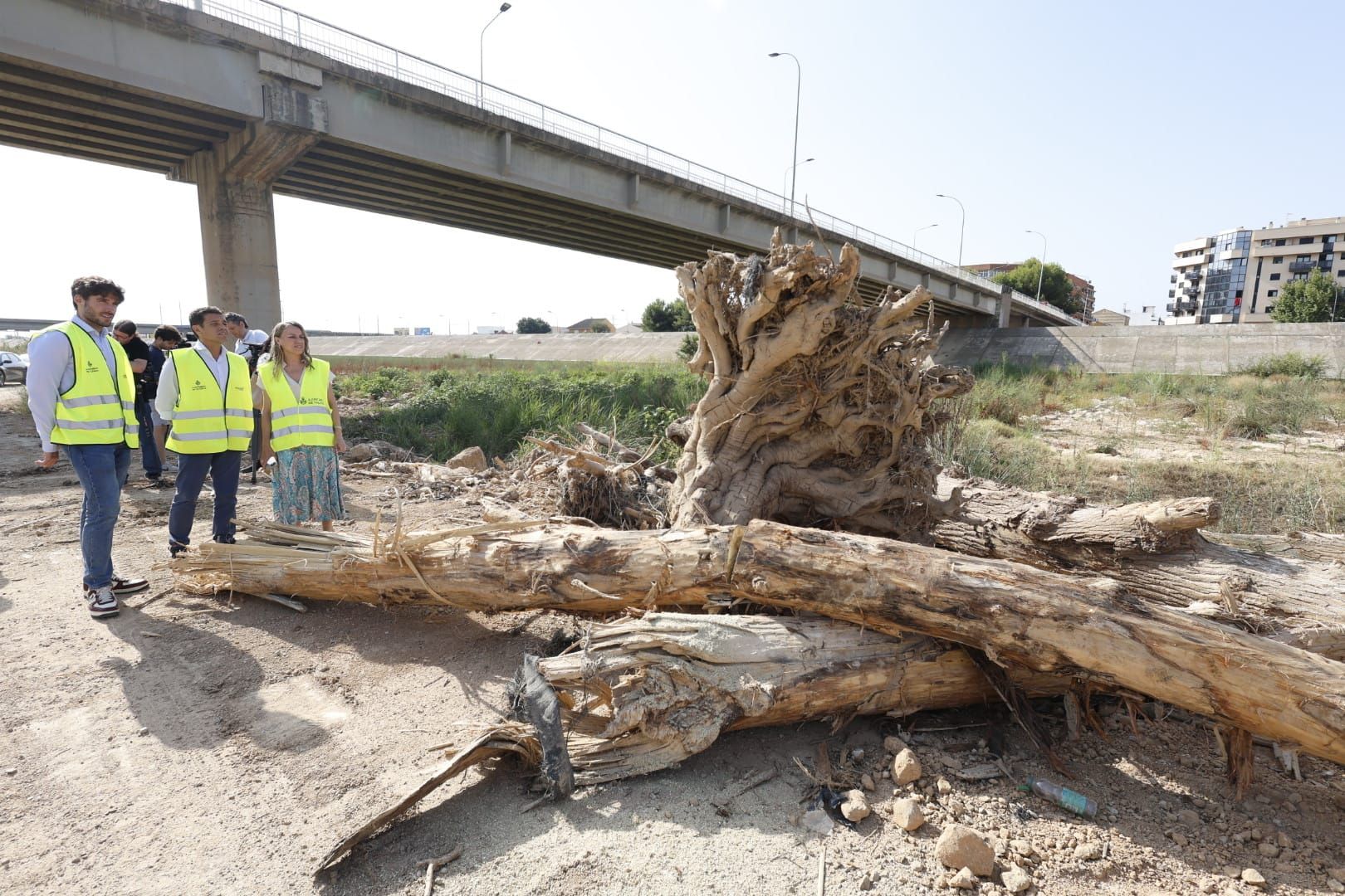 El Ayuntamiento de Valencia limpia el cauce del río ante el retraso de la CHJ