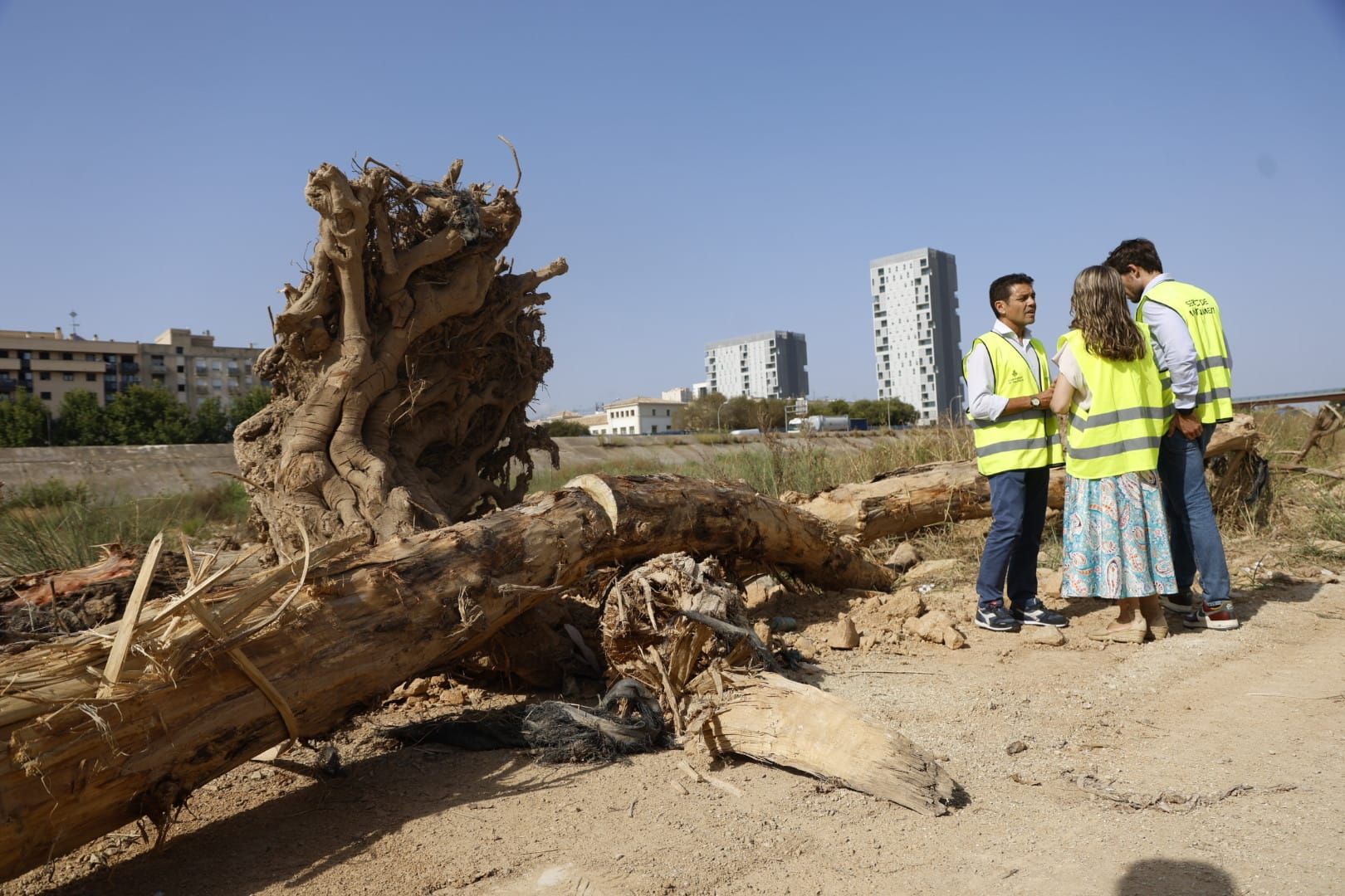 El Ayuntamiento de Valencia limpia el cauce del río ante el retraso de la CHJ