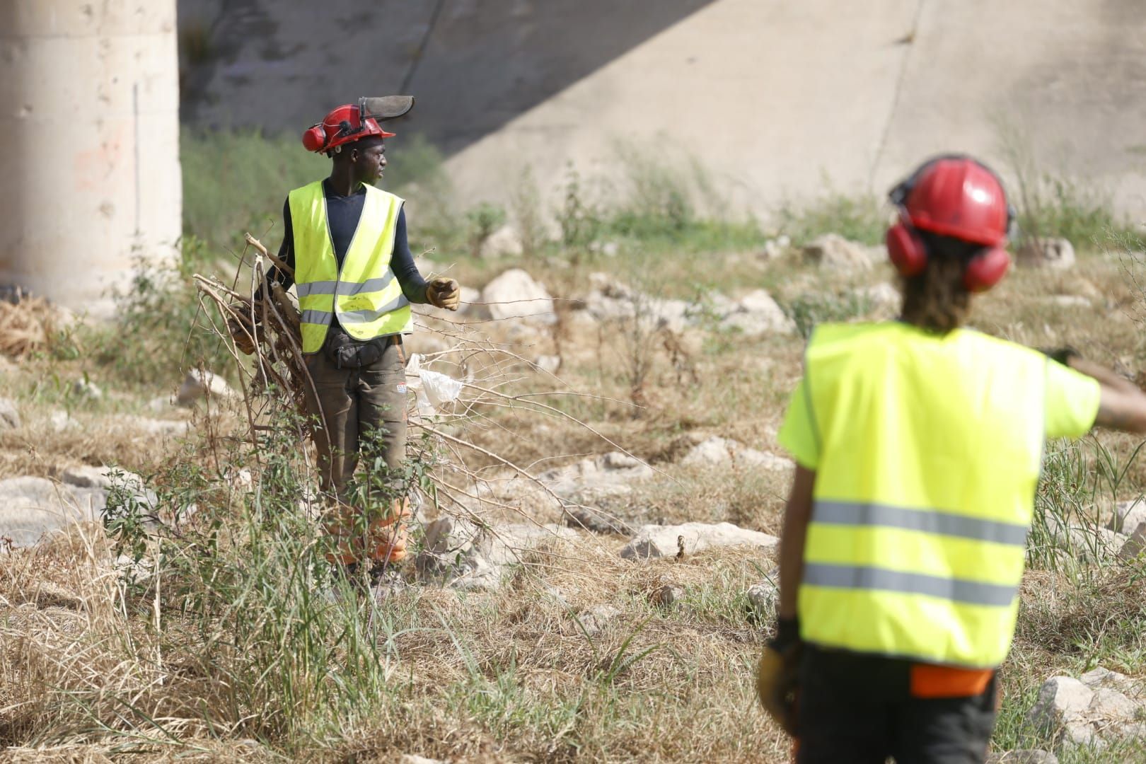 El Ayuntamiento de Valencia limpia el cauce del río ante el retraso de la CHJ