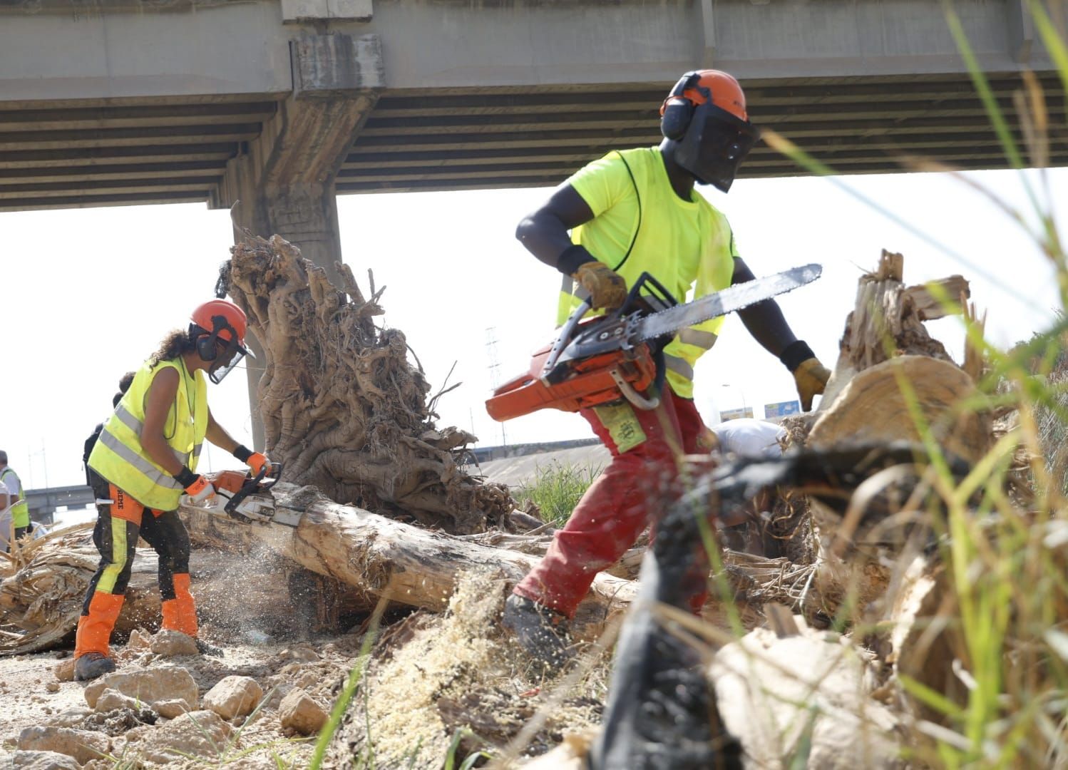 El Ayuntamiento de Valencia limpia el cauce del río ante el retraso de la CHJ