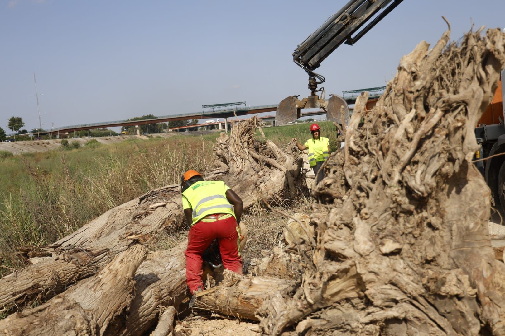 El Ayuntamiento de Valencia limpia el cauce del río ante el retraso de la CHJ