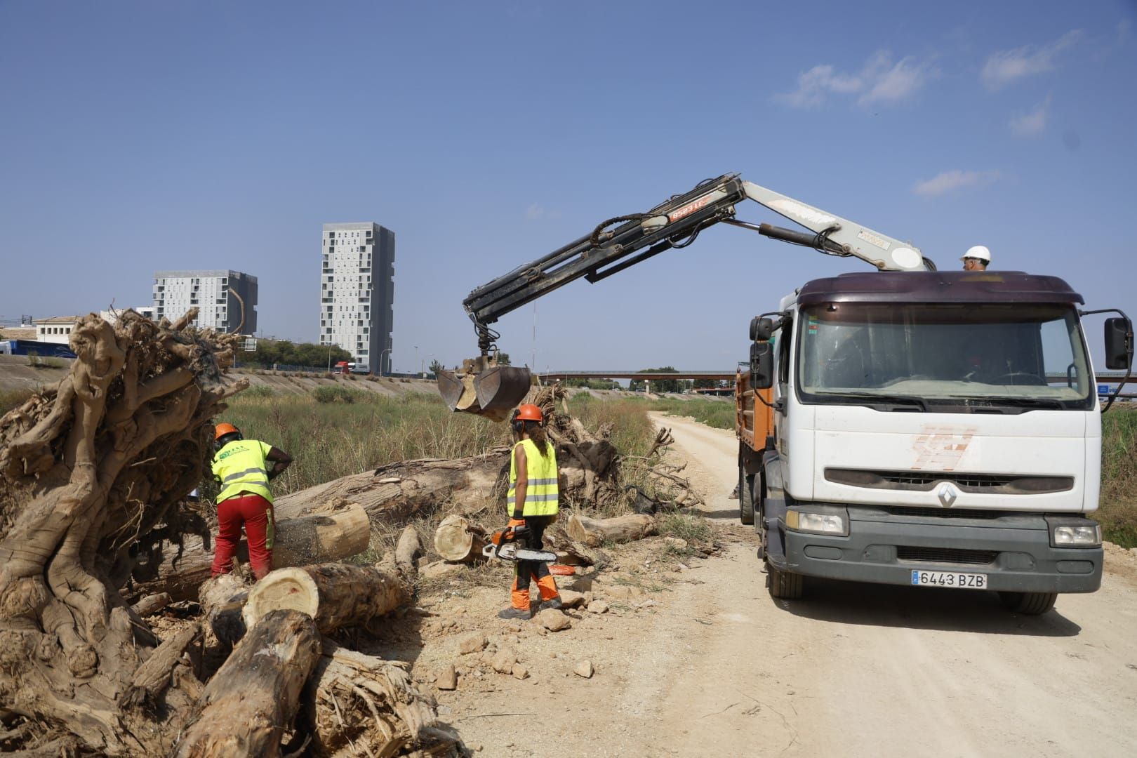 El Ayuntamiento de Valencia limpia el cauce del río ante el retraso de la CHJ