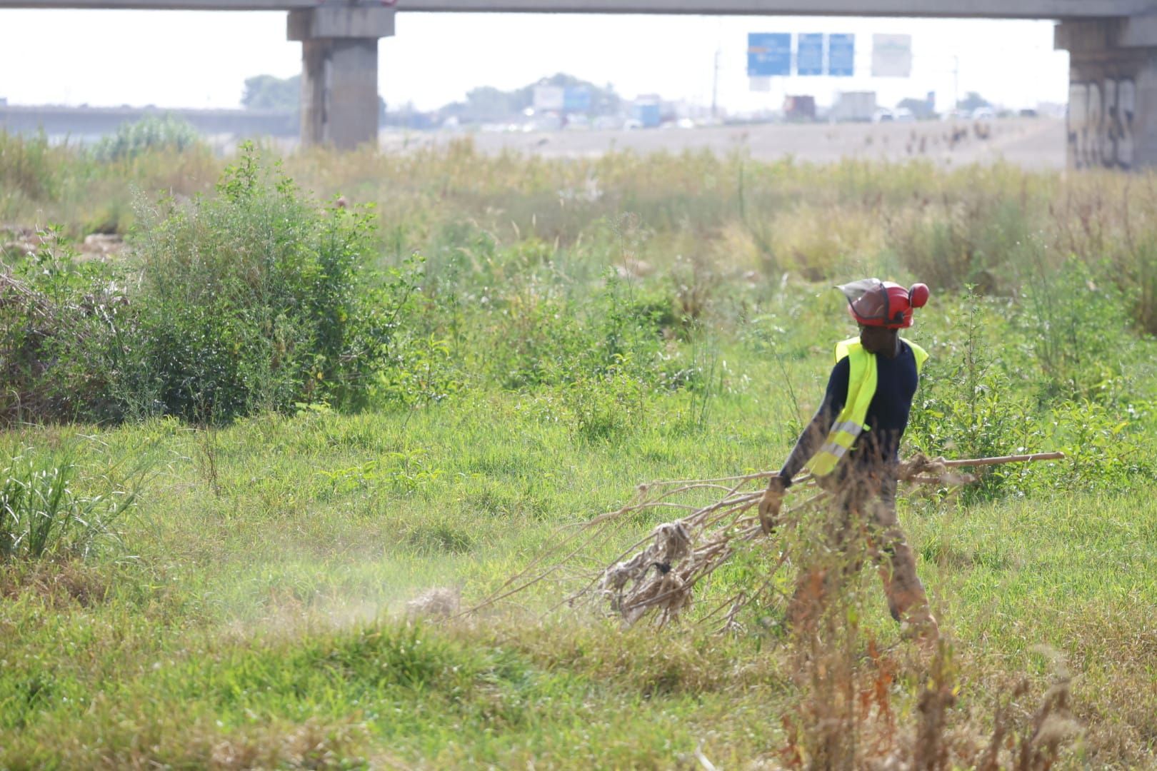 El Ayuntamiento de Valencia limpia el cauce del río ante el retraso de la CHJ