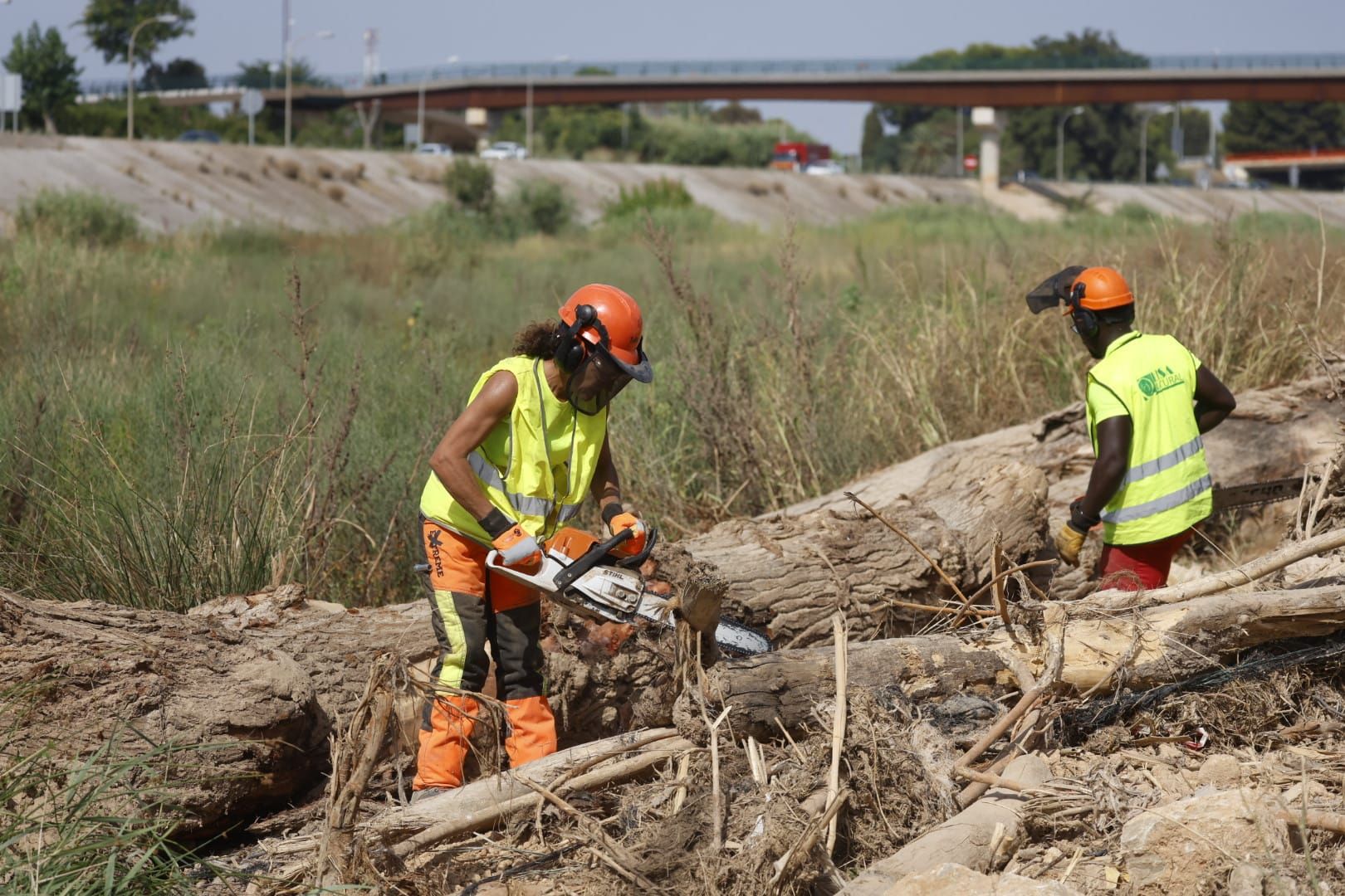 El Ayuntamiento de Valencia limpia el cauce del río ante el retraso de la CHJ