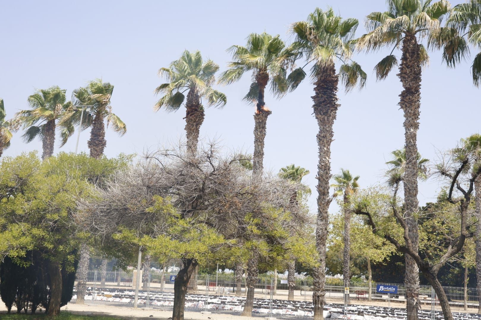 Así ha sido la mascletà más grande de la historia