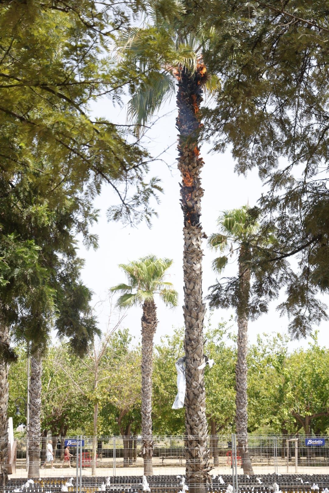 Así ha sido la mascletà más grande de la historia
