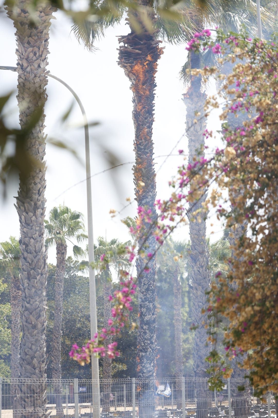 Así ha sido la mascletà más grande de la historia