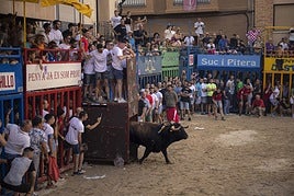 Bous al Carrer en la localidad castellonense de L'Alcora