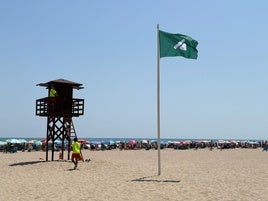 Bandera verde con la señal que permite el baño.