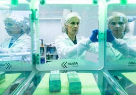 Marisol Quintero, en el laboratorio del Parque Tecnológico de Paterna donde trabaja.