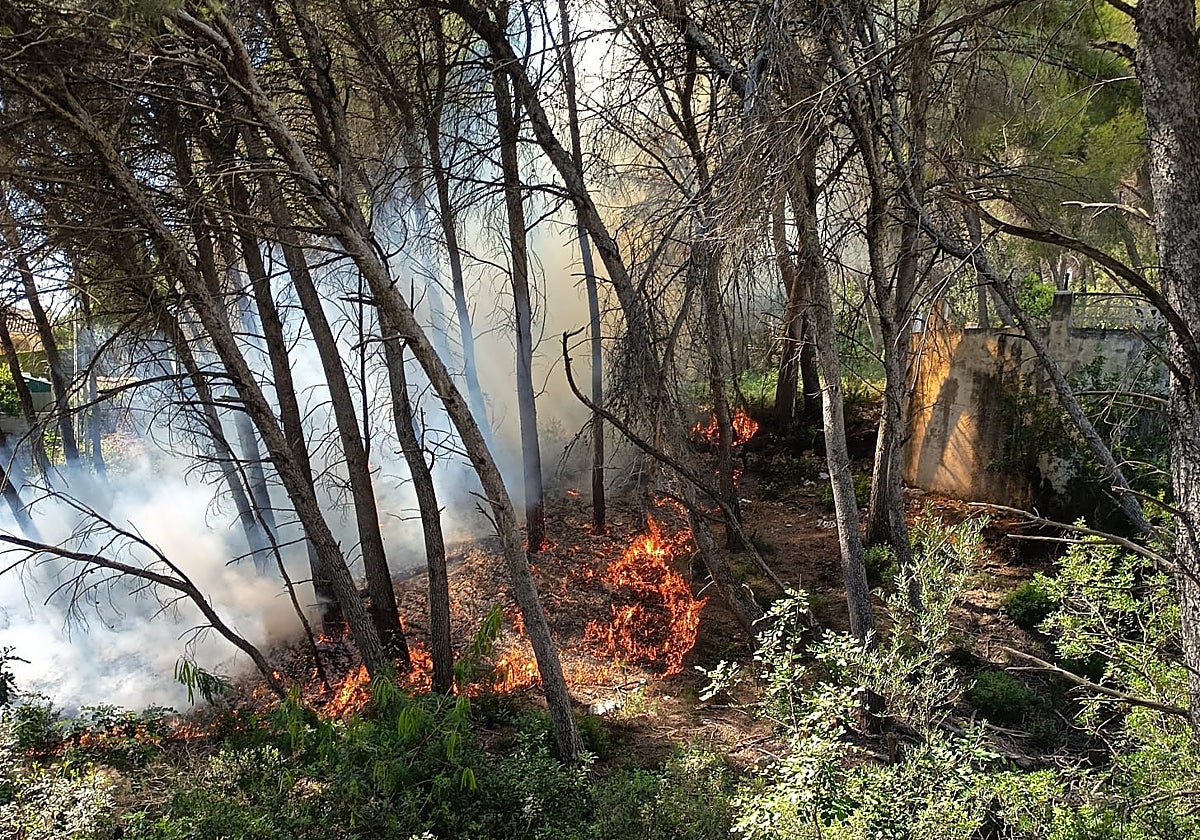 Controlado un incendio en el Montgó tras obligar a desalojar dos viviendas de Xàbia