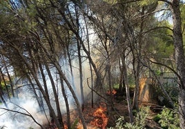 Controlado un incendio en el Montgó tras obligar a desalojar dos viviendas de Xàbia