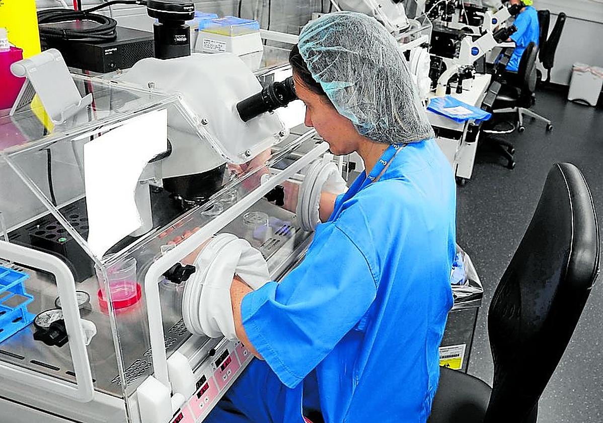 25 años de avances sociales