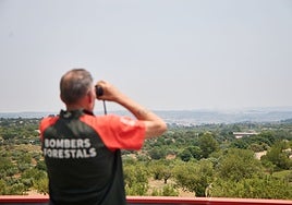 Un bombero forestal realiza labores de vigilancia.