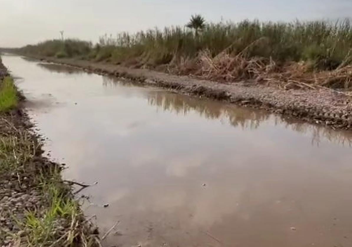 Barranco del Tramusser en Almussafes.