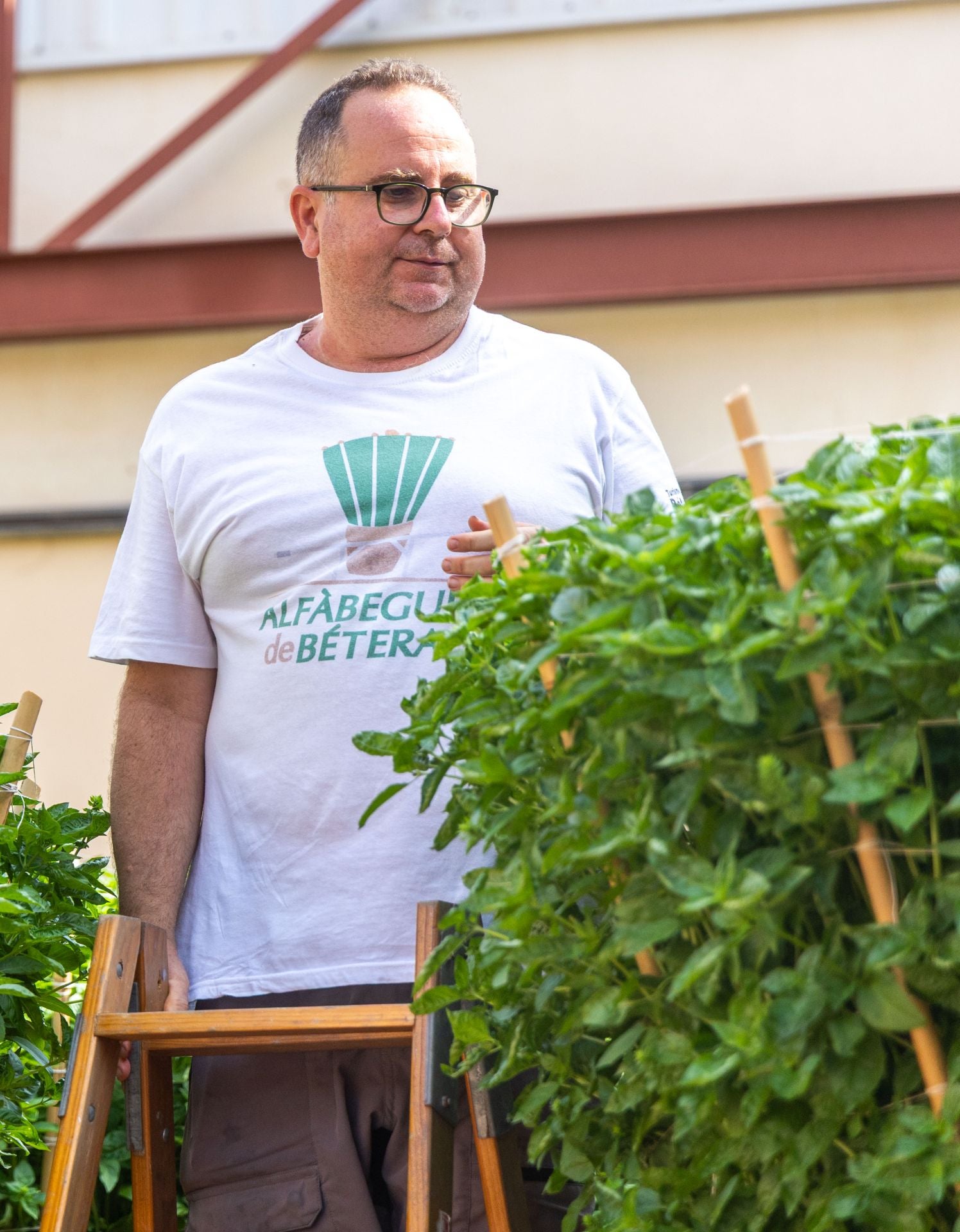 Fotos | La fiesta de les alfabegues en Bétera