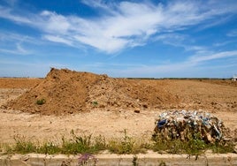 Los campos de arroz afectados por la Dana
