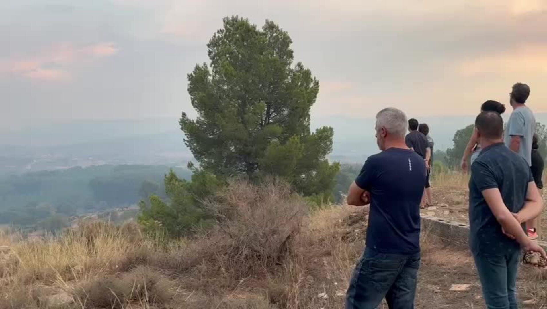 Vídeo del incendio forestal en Teresa de Cofrentes