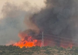 FOTOS | Incendio forestal en Teresa de Cofrentes