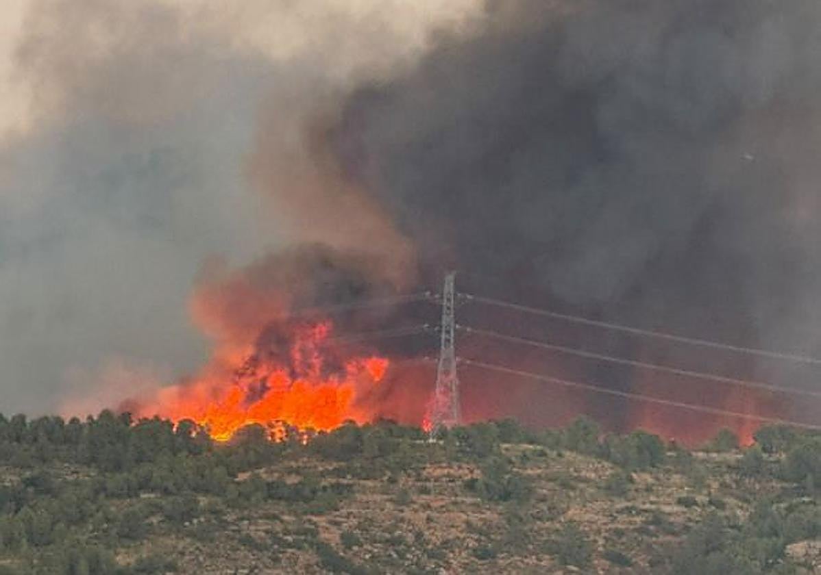 FOTOS | Incendio forestal en Teresa de Cofrentes