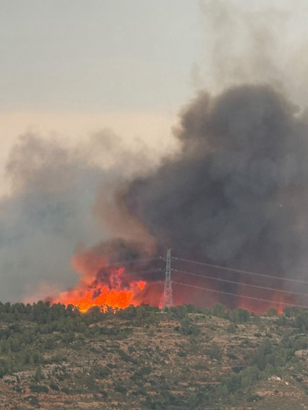 FOTOS | Incendio forestal en Teresa de Cofrentes
