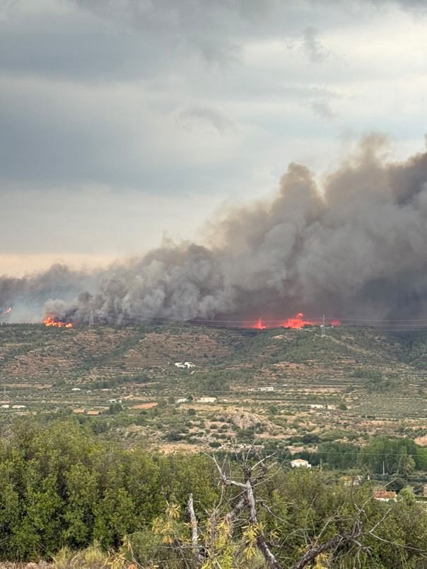 FOTOS | Incendio forestal en Teresa de Cofrentes
