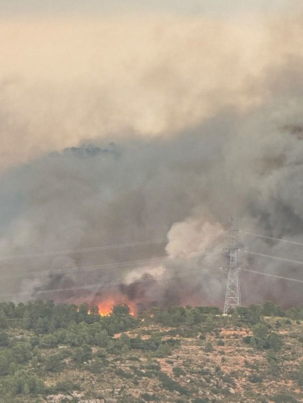 FOTOS | Incendio forestal en Teresa de Cofrentes